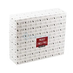 Pudełko papierowe zamykane Merry Christmas 250x210x70 mm
