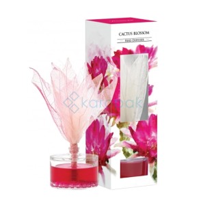 Dyfuzor zapachowy z liściem - kwiat kaktusa 50 ml 