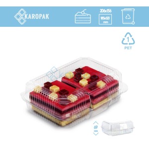 Pojemnik zamykany ALI10 206x156x70mm 50szt